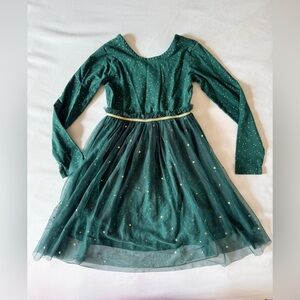 Hanna Andersson Long Sleeve Shimmer Tulle Dress